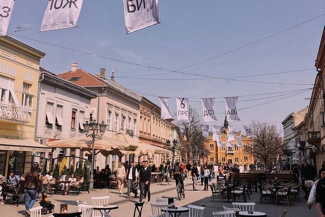 3 Hour Private Walking Tour in Novi Sad City - Merchant wealth on Svetozara Miletića Street
