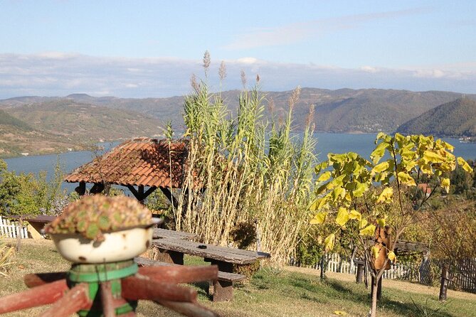 Along the Danube: Golubac Fortress & Iron Gate Gorge day trip from Belgrade - Lepenski Vir and the Danube’s oldest stories