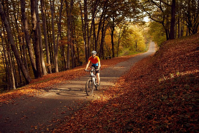 Avala & Kosmaj Bike Tour - Pine Forests and the 204.8-Meter Tower