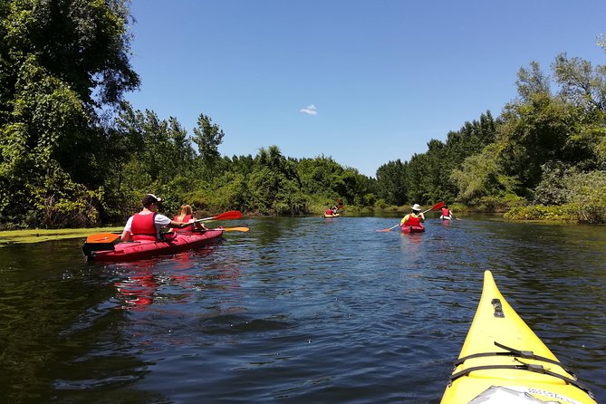 Belgrade Amazon Kayak Adventure - Key points to know before paddling