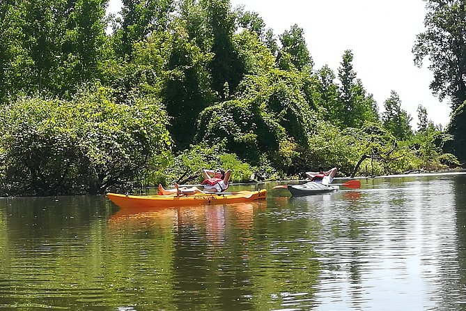 Belgrade Amazon Kayak Adventure - Leaving the city behind at Kej Oslobođenja 11a