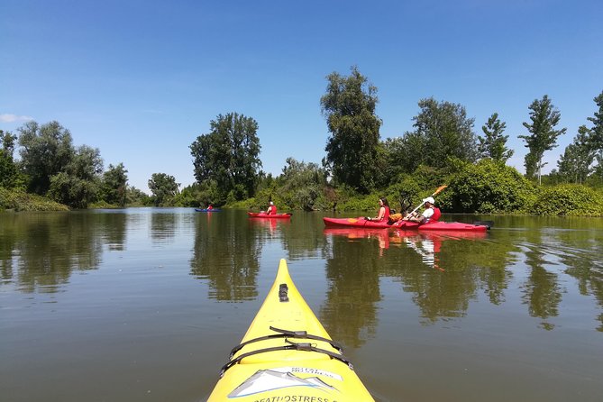 Belgrade Amazon Kayak Adventure - Why the nature feels so close to Belgrade