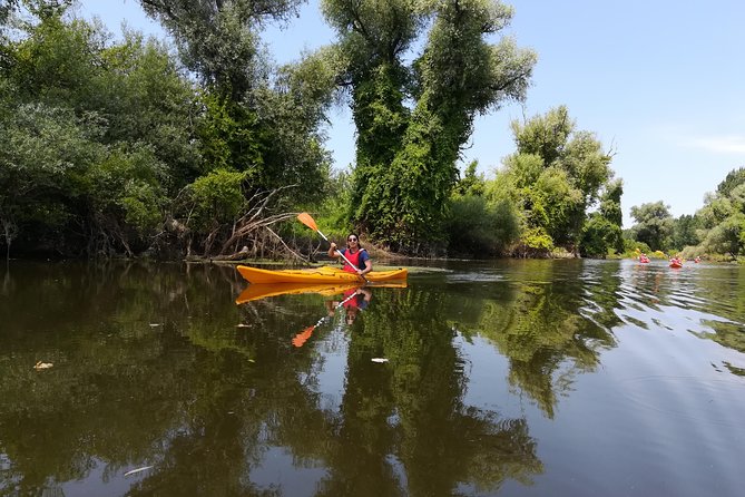 Belgrade Amazon Kayak Adventure - Price and group value at $278.66