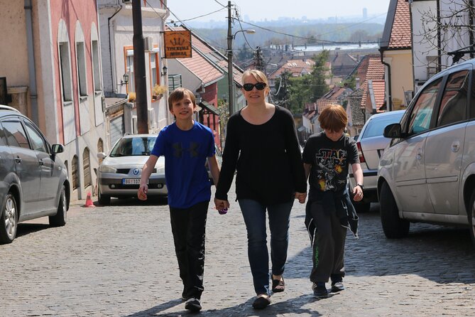 Belgrade Private City Tour – Metropolis Between East and West - Zemunski kej and the Danube waterfront