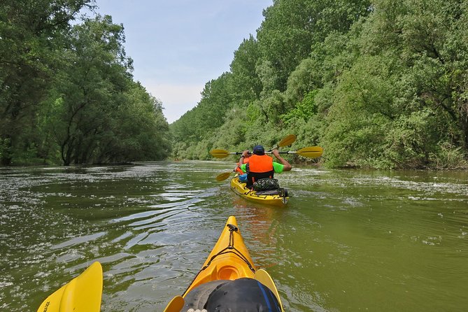 Belgrade War Island Kayak Tour - Crossing toward the Sava and seeing the city from below