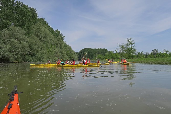 Belgrade War Island Kayak Tour - Lido Beach, with time for a swim