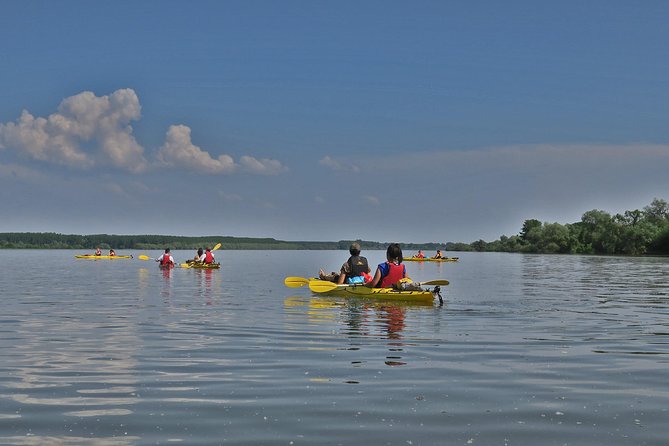 Belgrade War Island Kayak Tour - How much effort does the kayaking require?