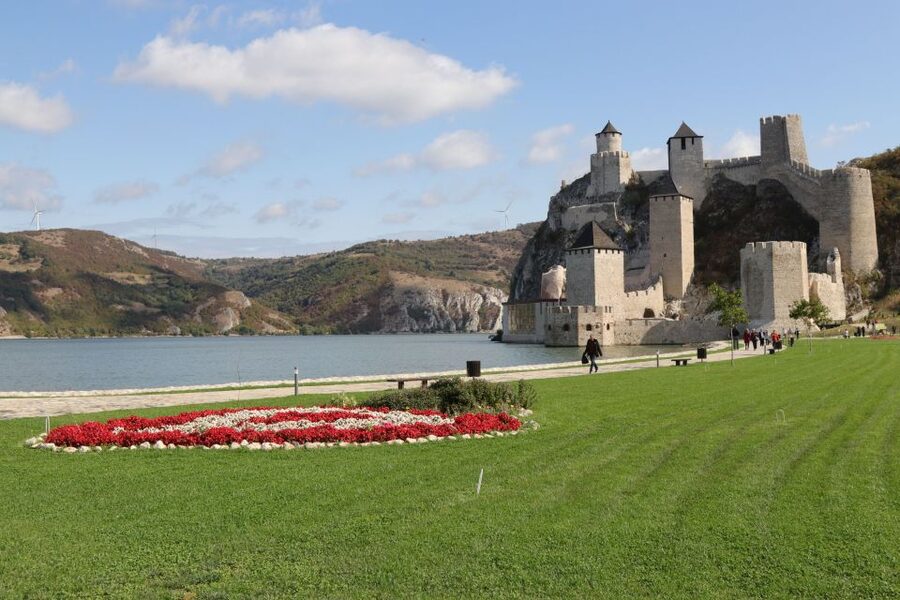 From Belgrade: Danube Day Trip with Wine and Brandy Tasting - Key points to know before booking