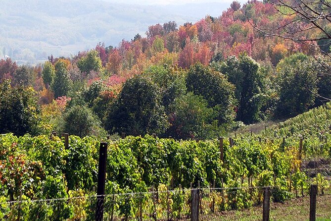 Full-Day Private Royal Heritage Tour to Oplenac With a Winery Visit - Who will get the most from this tour?