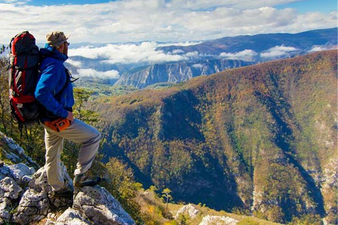 Full Day Trip from Belgrade: The Drina River House And Tara Park Tour - What the Guides Add to the Day