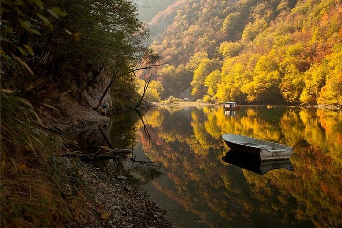 Full Day Trip from Belgrade: The Drina River House And Tara Park Tour - Lunch, Fees, and the Real Cost