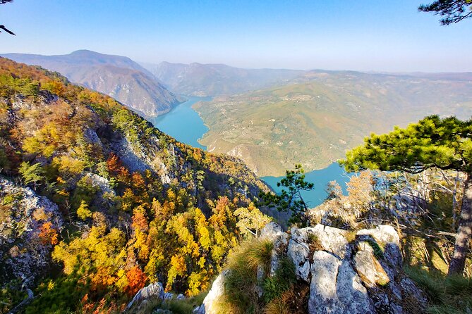 Full Day Trip from Belgrade: The Drina River House And Tara Park Tour - Leaving Belgrade at 8:00 a.m.