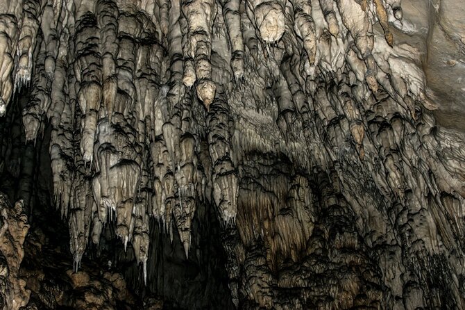 Full Day Trip from Belgrade: Uvac Nature Reserve Tour - Who should book this Uvac tour?