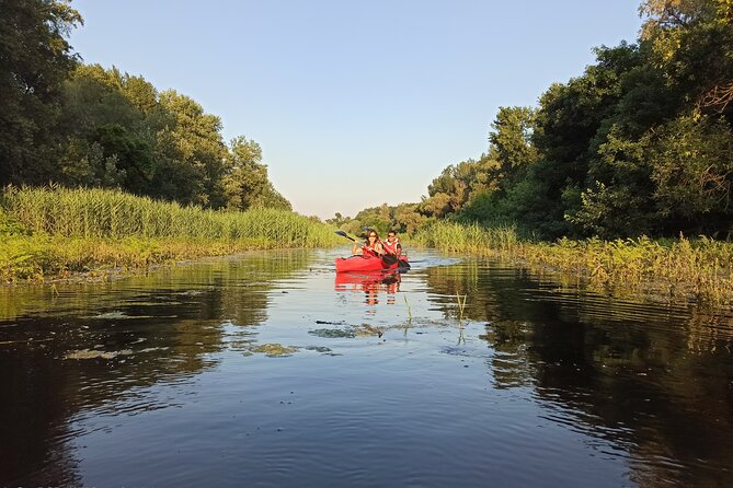 Great War Island Kayak Adventure - Starting at Kej Oslobođenja 11a
