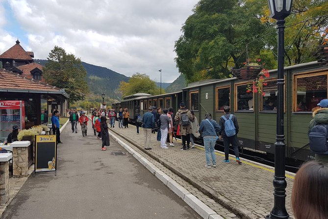 Mokra Gora toure with a Šargan 8 train ride - Why this west Serbia day trip works