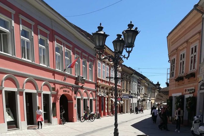 Novi Sad and Sremski Karlovci Wine Tour From Belgrade - Who will enjoy this day trip most