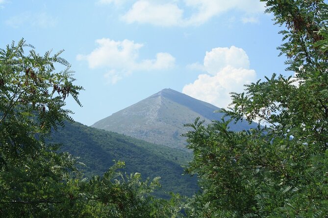 Private Day Tour to UNESCO site Felix Romuliana - Timing, pickup, and cancellation details
