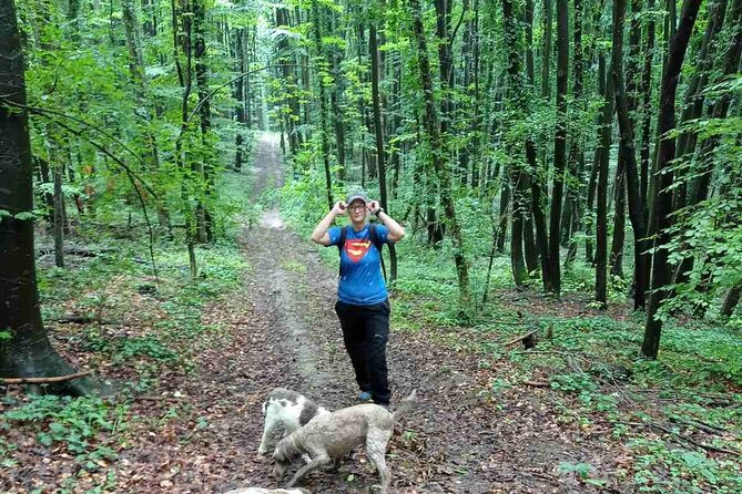 Private Guided Truffle Hunting Tour in Serbia with Lunch - Following the dogs through the woods