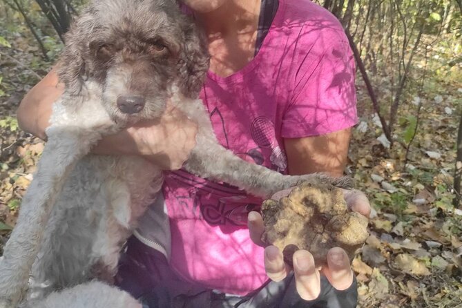Private Guided Truffle Hunting Tour in Serbia with Lunch - Taking part in the discovery