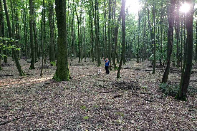 Private Guided Truffle Hunting Tour in Serbia with Lunch - Lunch with wine, fresh truffle pasta, and truffle jam