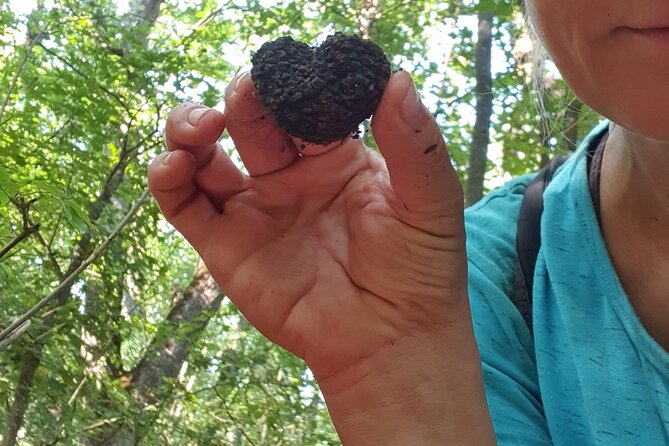 Private Guided Truffle Hunting Tour in Serbia with Lunch - Weather, timing, and practical planning