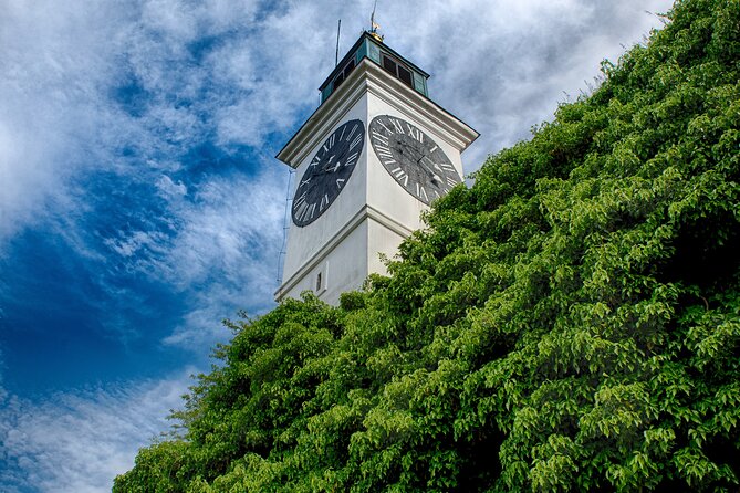 Private Half Day Serbia Tour Novi Sad and Petrovaradin Fortress - What the private format adds