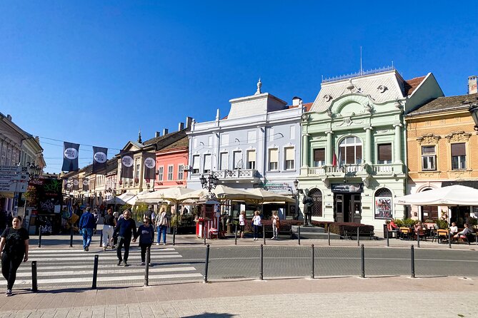 Private Novi Sad, Titanic wine tasting and Farmer's House - What the guide adds to the day