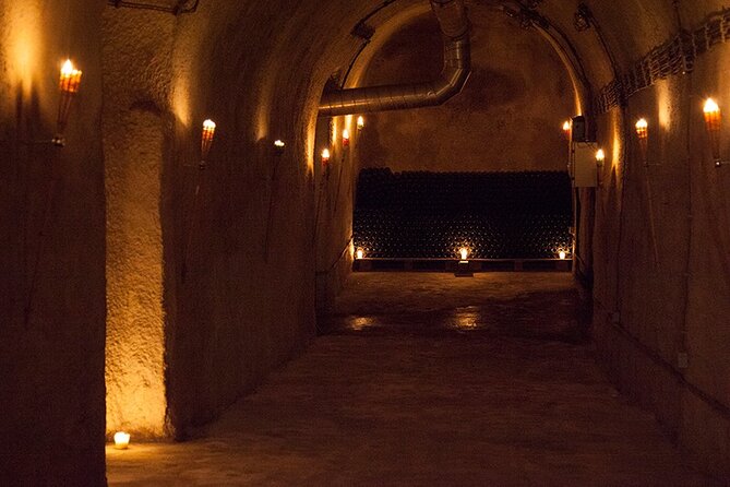 Private Wine Tasting by Party in Belgrade - Is $75.24 per person good value?