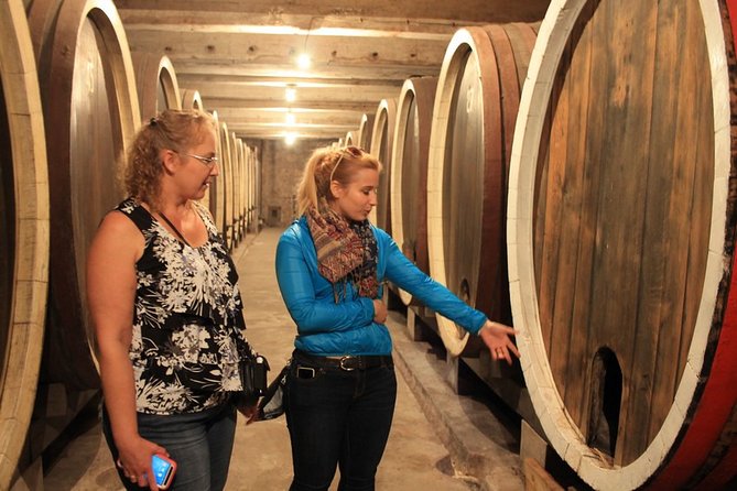 Private Wine Tour in Royal Region - How to prepare for a better wine day