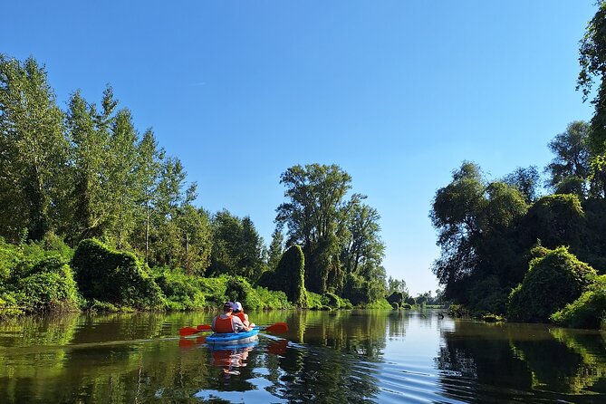 Self-guided kayak tour in Belgrade - What self-guided really means here
