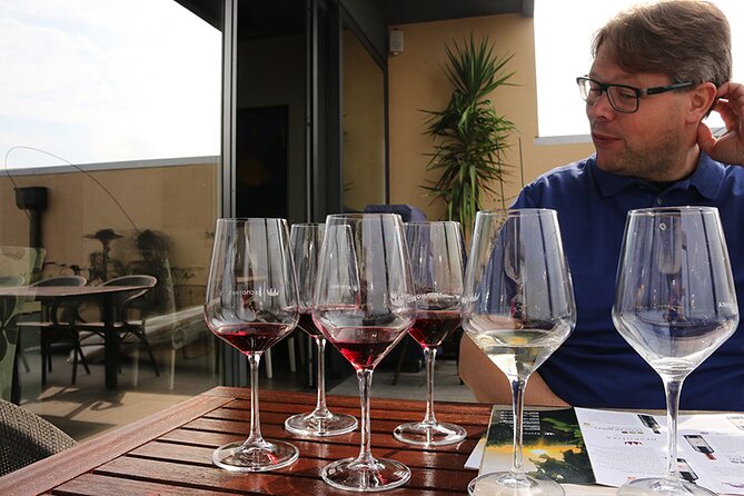 Small Group Wine Tour in Sumadija Wine Region - Who will enjoy this tour most?