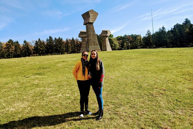 Southern Serbia: Full Day Private Trip to Niš from Belgrade - What the transport and group size mean